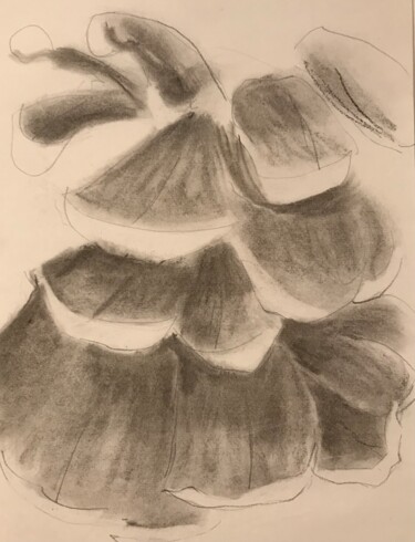 Drawing titled "Pinecone graphite a…" by Lynn Schwartz, Original Artwork, Charcoal