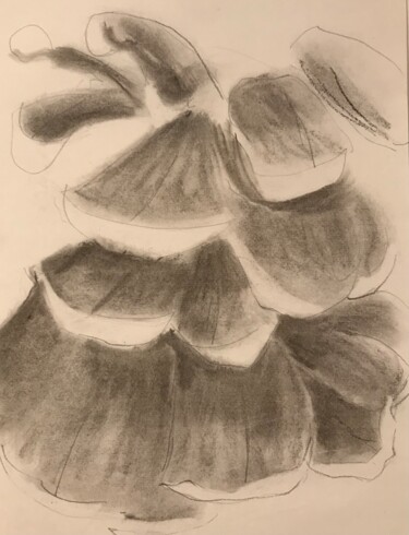 Dessin intitulée "Pinecone graphite a…" par Lynn Schwartz, Œuvre d'art originale, Fusain