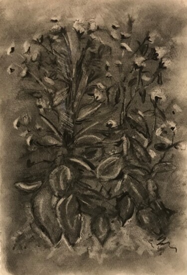 Drawing titled "Charcoal Flowers 20…" by Lynn Schwartz, Original Artwork, Charcoal