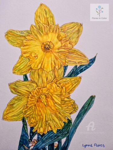 Painting titled "Two yellow daffodil…" by Lynne Flores, Original Artwork, Pencil