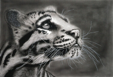 Rysunek zatytułowany „Clouded Leopard” autorstwa Lynton Bolton, Oryginalna praca, Węgiel drzewny