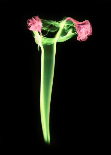 Photography titled "Roses in Vase" by Lynton Bolton, Original Artwork, Digital Photography