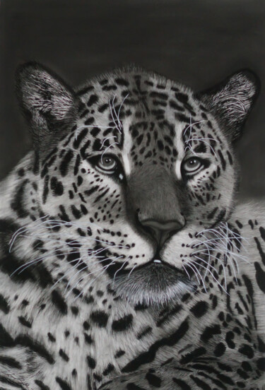 Disegno intitolato "Jaguar Portrait" da Lynton Bolton, Opera d'arte originale, Carbone