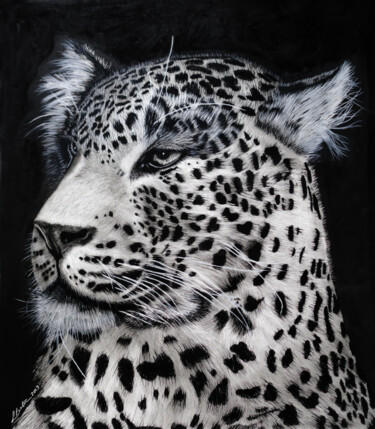 Dessin intitulée "Male Amur Leopard P…" par Lynton Bolton, Œuvre d'art originale, Fusain