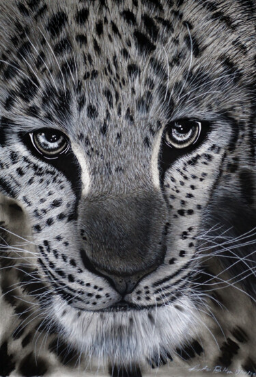 Disegno intitolato "Amur Leopard Portra…" da Lynton Bolton, Opera d'arte originale, Carbone