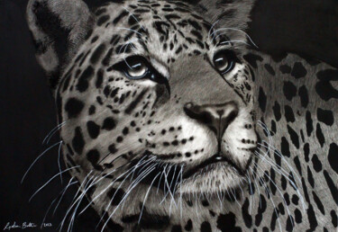 Drawing titled "From The Darkness" by Lynton Bolton, Original Artwork, Charcoal