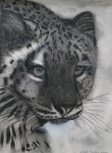 Drawing titled "Snow Queen" by Lynton Bolton, Original Artwork, Charcoal