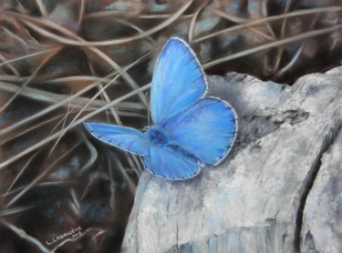 Painting titled "Papillon bleu" by Lysiane Lagauzere, Original Artwork, Pastel
