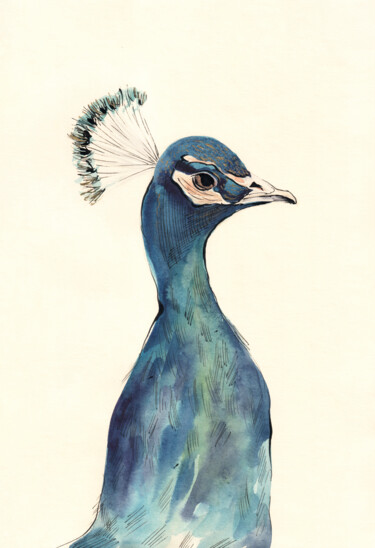 Картина под названием "Peacock" - Lyubov Fonareva, Подлинное произведение искусства, Акварель