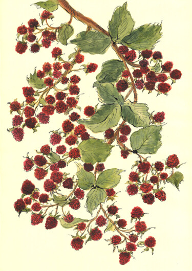 Картина под названием "Raspberry" - Lyubov Fonareva, Подлинное произведение искусства, Акварель