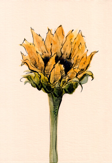 Картина под названием "Sunflower" - Lyubov Fonareva, Подлинное произведение искусства, Акварель
