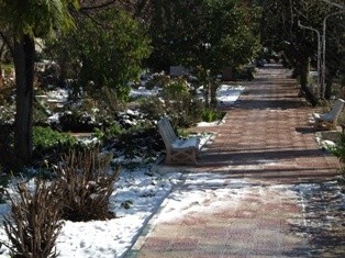 Photographie intitulée "Maghnia jardin" par Mohammed Arbouz, Œuvre d'art originale