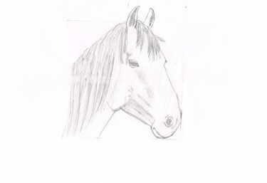 「pferd-2.jpg」というタイトルの描画 Mariakayによって, オリジナルのアートワーク, 鉛筆