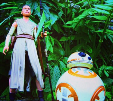 Fotografia intitolato "Rey et BB-8 naboo" da Maak Bran, Opera d'arte originale, Fotografia digitale