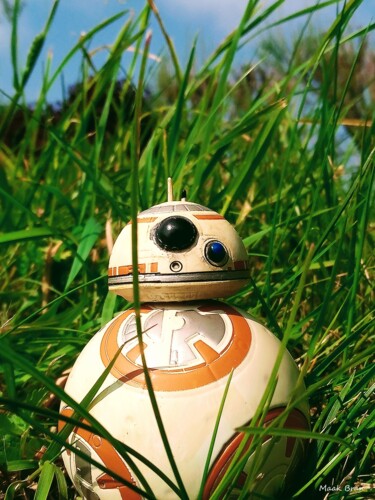 Fotografia zatytułowany „BB-8 in naboo” autorstwa Maak Bran, Oryginalna praca, Fotografia cyfrowa