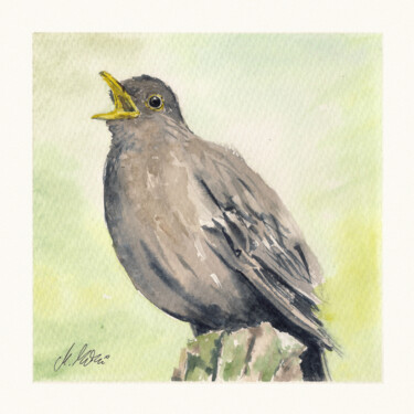 Painting titled "Polish birds - Turd…" by Maciej Kłosowski, Original Artwork, Watercolor
