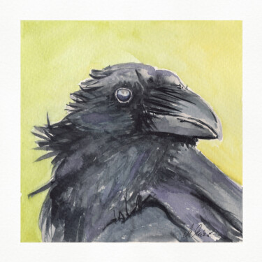 Painting titled "Polish birds - Corv…" by Maciej Kłosowski, Original Artwork, Watercolor