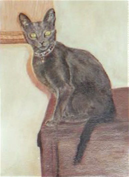 Peinture intitulée "Le Chat de Madame G…" par Maclade, Œuvre d'art originale, Huile