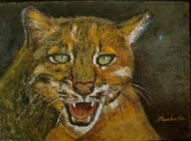 Peinture intitulée "chat sauvage d'asie" par Maclade, Œuvre d'art originale, Huile