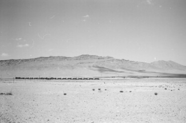 Photographie intitulée "Sur la route de Pal…" par Laurence Meyer, Œuvre d'art originale, Photographie argentique