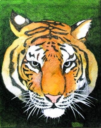 Peinture intitulée "tigre" par Macrib, Œuvre d'art originale, Huile