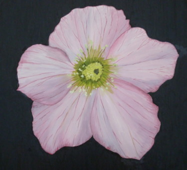 Painting titled "Hellebore" by Maddalena Pacini, Original Artwork, Oil