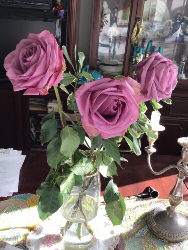 Фотография под названием "Roses roses" - Madeleine Gendron, Подлинное произведение искусства, Пленочная фотография