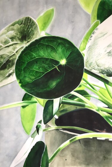 Painting titled "Pilea peperomioides" by Madeline Berger (MadB), Original Artwork, Watercolor