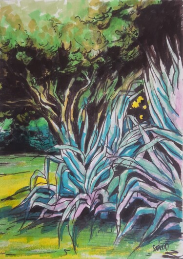 Dessin intitulée "Les agaves" par Mademoiselle Solenn, Œuvre d'art originale, Marqueur