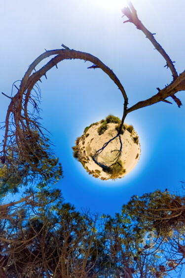 Photographie intitulée "Spiral tree" par Maël Bathfield, Œuvre d'art originale, Photographie numérique