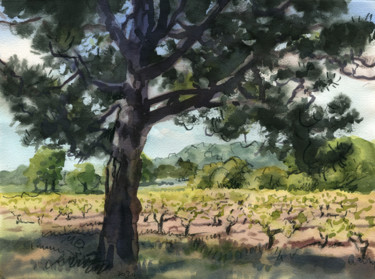 Peinture intitulée "L'Arbre en Provence" par Märta Wydler, Œuvre d'art originale, Aquarelle