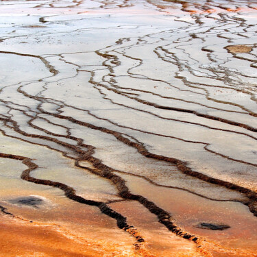 L'eau d'or Photographie intitulée "L'eau d'or" par Magali Asselin, Œuvre d'art originale, Photographie numérique