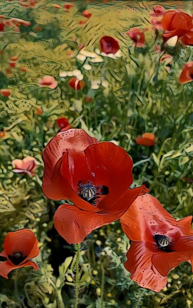 Photography titled "Coquelicots.jpg" by Balaya, Original Artwork