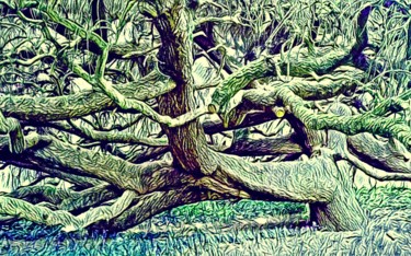 Photography titled "les-branches-de-la-…" by Balaya, Original Artwork