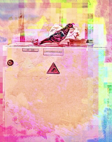 Druckgrafik mit dem Titel "Jeune pigeon contem…" von Marcelle Delacité, Original-Kunstwerk, Pigmente