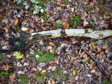 Fotografia zatytułowany „son of the birch (u…” autorstwa Marcelle Delacité, Oryginalna praca, Fotografia cyfrowa