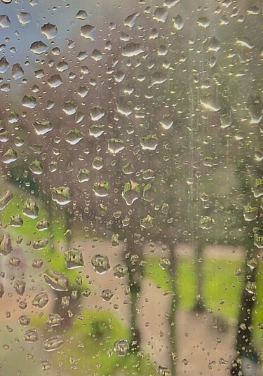 Фотография под названием "Rainy Trees" - Marcelle Delacité, Подлинное произведение искусства, Цифровая фотография