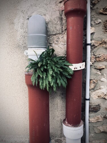 Photographie intitulée "tubes and greenery" par Marcelle Delacité, Œuvre d'art originale, Photographie numérique