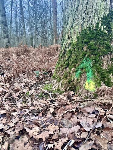 Photographie intitulée "Yellow point" par Marcelle Delacité, Œuvre d'art originale, Photographie numérique