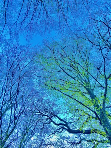 Photography titled "Blue & Green" by Marcelle Delacité, Original Artwork, Digital Photography