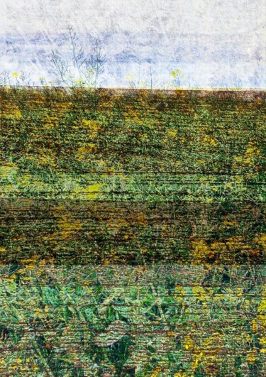 Digitale Kunst mit dem Titel "Colzmogol’s Colors…" von Marcelle Delacité, Original-Kunstwerk, Digitale Malerei