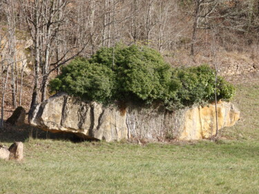 Fotografia intitulada "Le cailloux frisé" por Magali Rivière, Obras de arte originais, Fotografia Não Manipulada