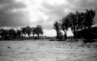 Photography titled "lowland. landscape" by Magda Durda, Original Artwork, Non Manipulated Photography