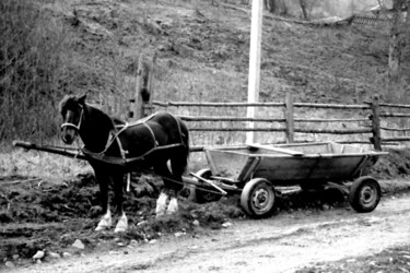 Fotografie getiteld "horse and cart" door Magda Durda, Origineel Kunstwerk, Niet gemanipuleerde fotografie