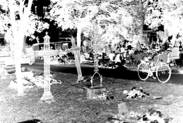 Fotografia intitolato "bicycle in the ceme…" da Magda Durda, Opera d'arte originale, Fotografia non manipolata