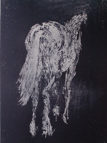 Obrazy i ryciny zatytułowany „equus” autorstwa Magdalena Gintowt-Juchniewicz, Oryginalna praca, Akwaforta