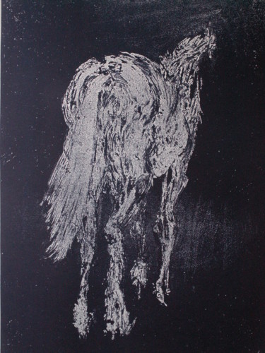 equus Gravures & estampes intitulée "equus" par Magdalena Gintowt-Juchniewicz, Œuvre d'art originale, Eau-forte