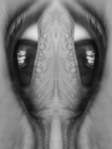 Fotografia zatytułowany „Eye 3” autorstwa Magdalena Mienko, Oryginalna praca, Manipulowana fotografia Zamontowany na Panel d…