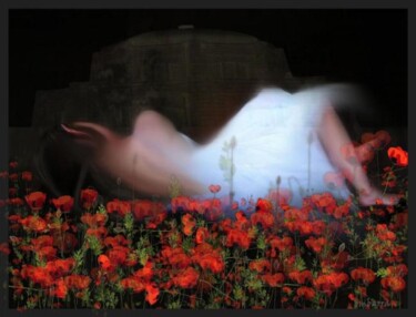 Digital Arts titled "Red Poppies" by Maggie Barra, Original Artwork