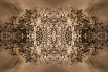 Photographie intitulée "Psyché Juju 3" par Magic Glance, Œuvre d'art originale, Photographie numérique